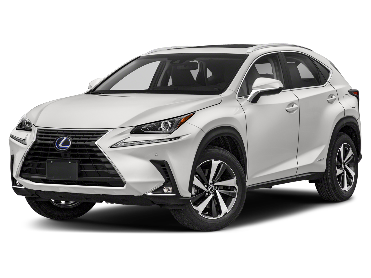2019 Lexus NX 300h