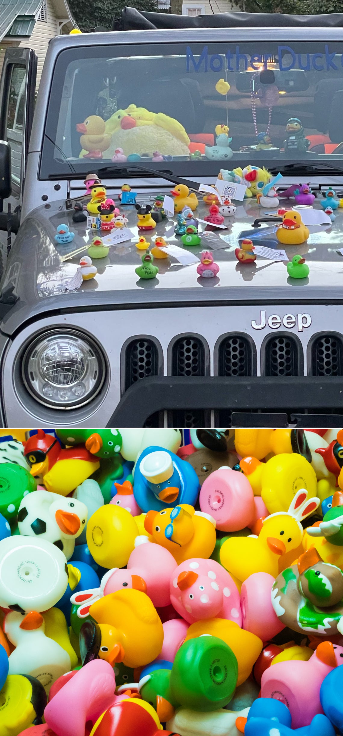 What Are Jeep Duck Ponds?